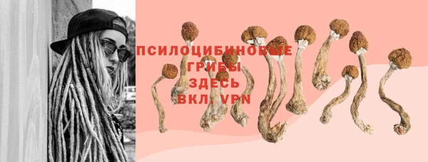 PSILOCYBIN Лагань