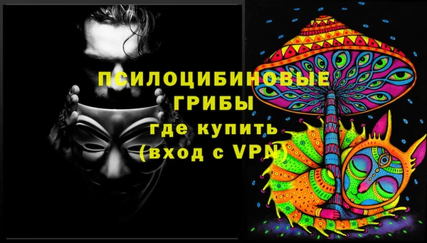 стафф Кулебаки