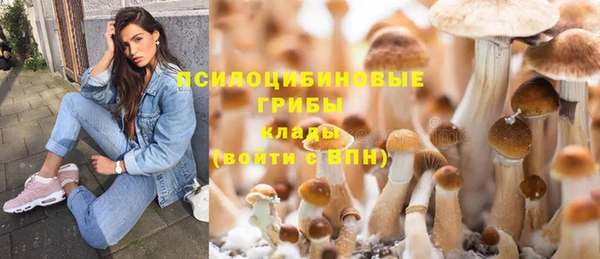 стафф Кулебаки