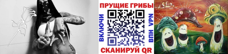 Псилоцибиновые грибы мицелий  Купить  Мезень 